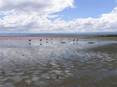 令人讚嘆的紅鶴湖 