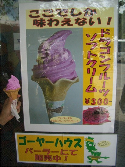 門口 300ren火龍果ice cream,即$28呀!