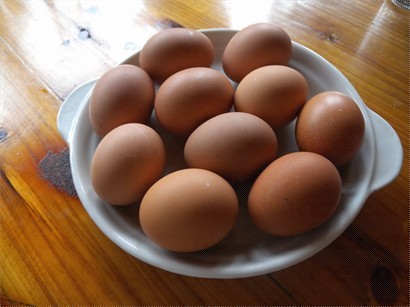 新鮮雞蛋