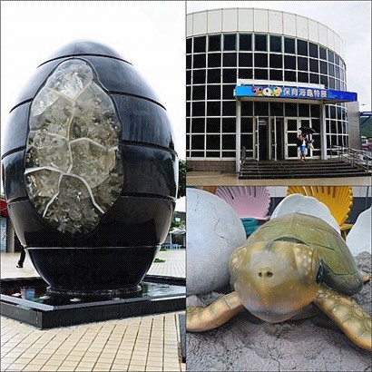 特別展館今期主題是海龜