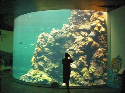 珊瑚礁預覽區，超巨型水缸有珊瑚礁不同嘅生態