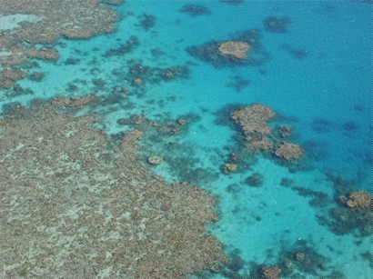高點看之珊瑚礁....壯觀!!