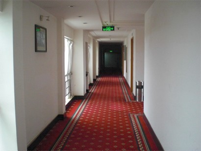 客房樓層，走廊通道，實景有啲幽幽暗暗。