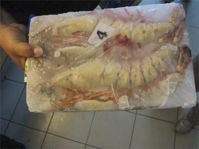 1kg 4 隻急凍虎蝦