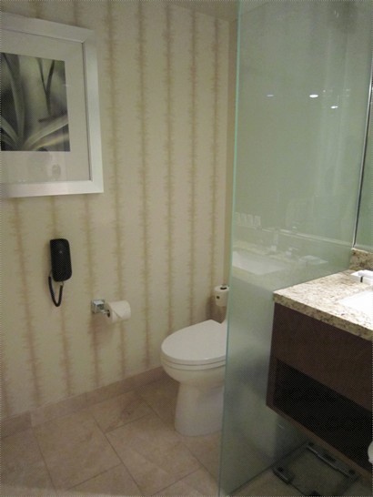 豪華浴室之廁所