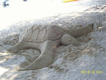 馬奴干島上有人砌咗個大海龜, 好有藝術氣質