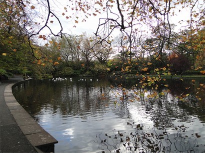 聖史蒂芬公園內有不少細小的池塘，惹來不少白鴿。