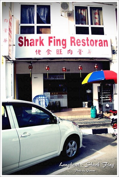 SHARK FING