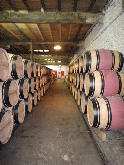 Château de Pressac：Wine Barrels