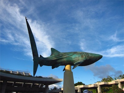 正門的巨型鯨鯊標誌