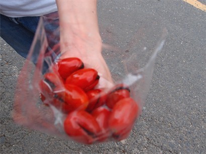 每粒小蕃茄, 都釀咗一粒小梅喺裡面