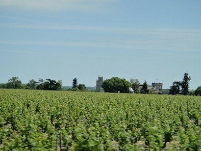 Saint-Julien: Château Ducru-Beaucaillou
