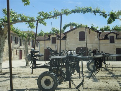用馬車收割葡萄以減輕收割其間對泥土及葡萄樹之傷害