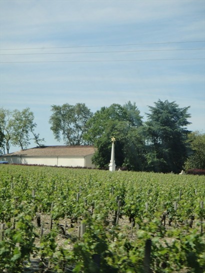 Château Mouton Rothschild（星柱標籤著Rothschild所擁有之區域）