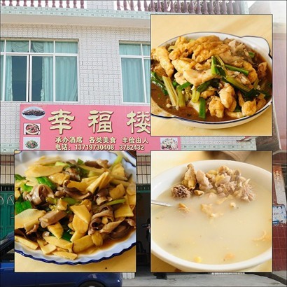 午餐：豆卜炆魚腩 / 冬筍炒豬肚 / 白果煲雞湯