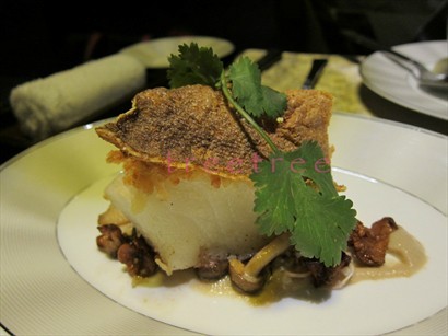 Panko Fish in Tom Khai with Rice