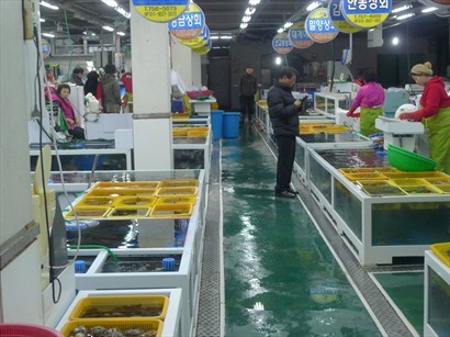 魚市場買海鮮