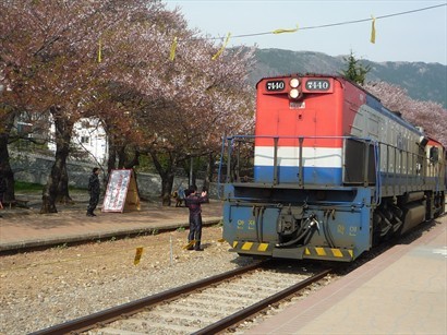 火車每當經過此站時便會慢駛，等遊人可以捕捉列車刮起的風而櫻花紛飛飄落的情景。