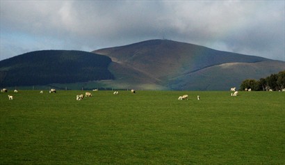 路上再遇彩虹，與綿羊及草原為伴