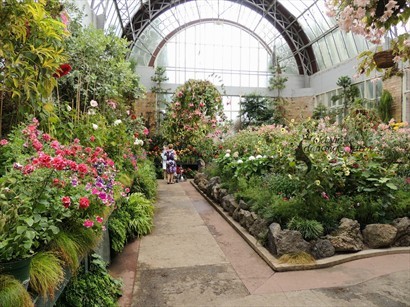 Winter Gardens」是一個種植了不少，花卉植物的溫室，免費參觀