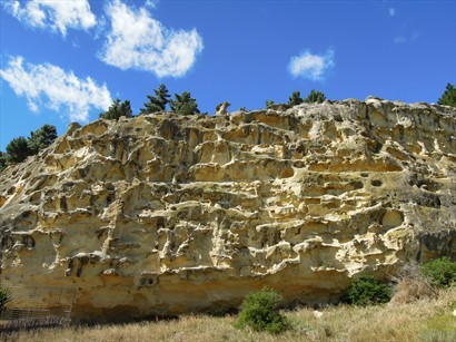 蜂巢般的大片岩石