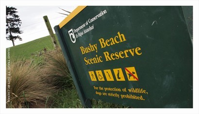 Bushy Beach Scenic Reserve