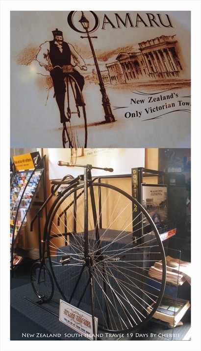 騎仿古大小輪腳踏車Penny Farthing,成為Oamaru 奧瑪魯一個標誌