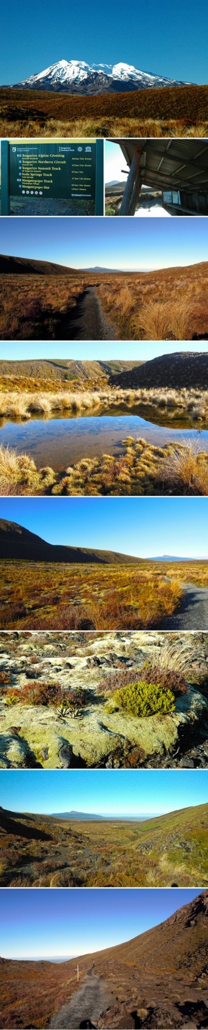 第一段Mangatepopo到Soda Spring，起點可以看到Mt. Ruapehu，沿途盡是低矮草披、當地獨特的地衣遍佈這一帶