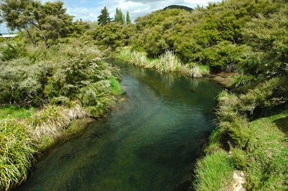  Tokaanu Thermal Pool外的小河，反而翠綠盈然