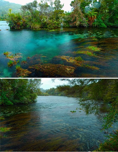 PuPu Springs副泉帶著碧綠，泉水下的水草清晰可見