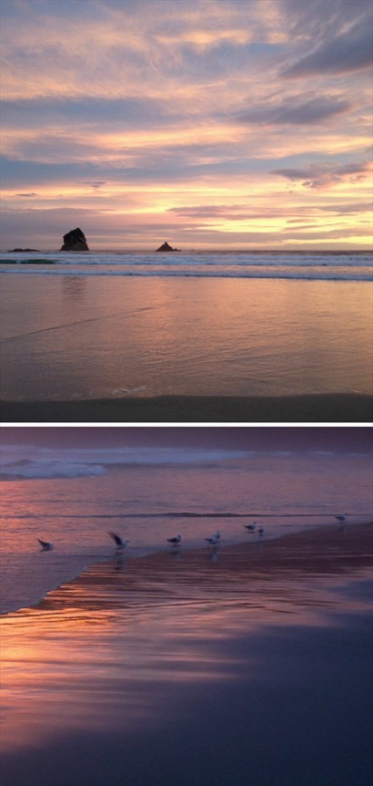 如鏡的灘上，海鳥成為最好的佈景，享受著天空幻變