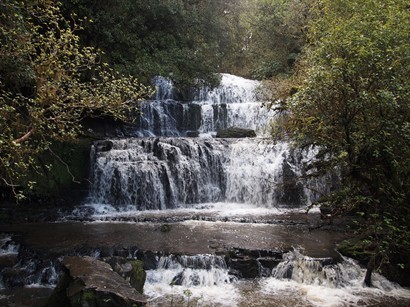 Purakaunui Falls(普拉考努伊瀑布)