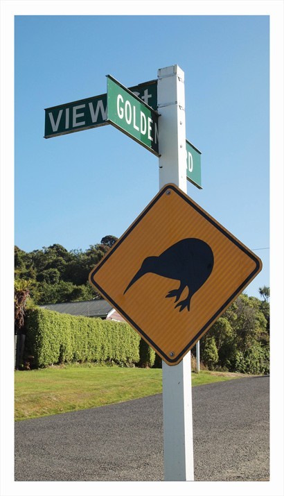 Kiwi Bird 路牌
