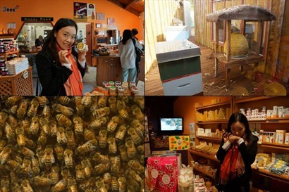 我地第一站去咗一個bee farm，睇咗蜜糖嘅製作同埋買咗啲Manuka honey做嘅產品，其中一樣係蜜糖酒，好甜好好味。