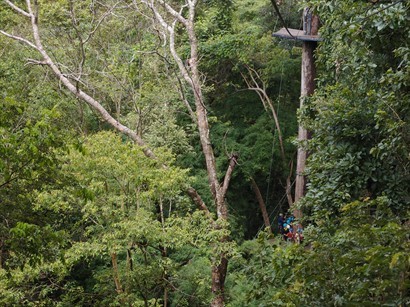 叢林中的高台