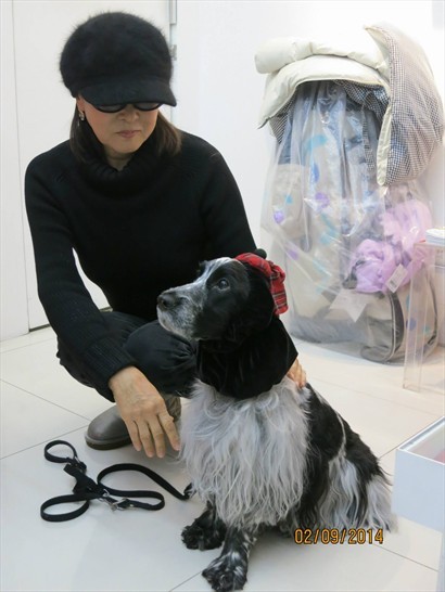 Mieko Uesako與其靈感愛犬