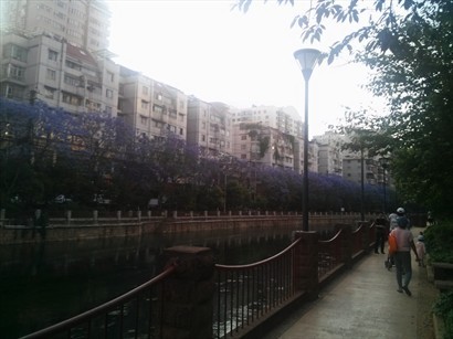 步行回北京路的小區，該是盤龍江，有不少居民散步