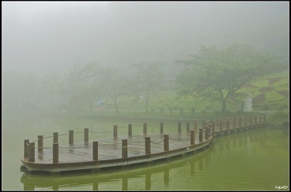 走近池邊，雖沒有下雨了，但很大霧。