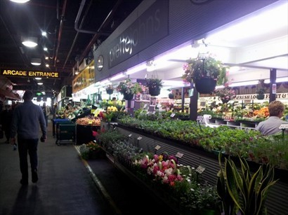 Adelaide Central Market小花店