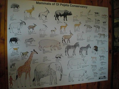 這張圖就可知整個奧彼傑特保護區有甚麼野生動物