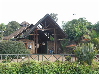 Nairobi Mamba Village（鱷魚場）