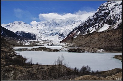 米堆冰川主峰海拔 6800米，雪線海拔只有4600米，末端只有2400米。
