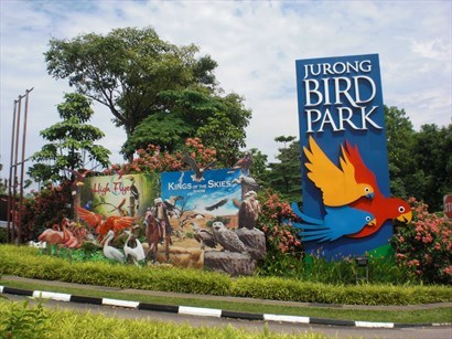 裕廊飛禽公園（Jurong Bird Park）
