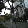 六本木蜘蛛