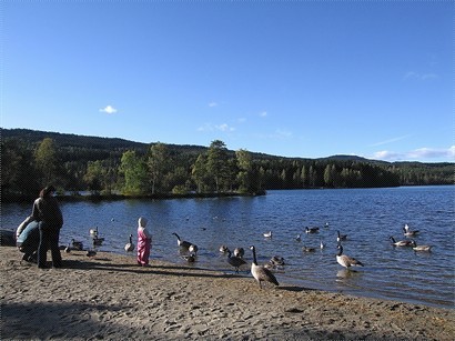 Sognsvann是在奧斯陸以北的一個大湖.