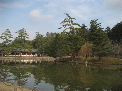 鏡池,個人覺得奈良最美的池~