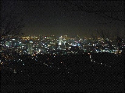 在南山可以看到首爾的夜景