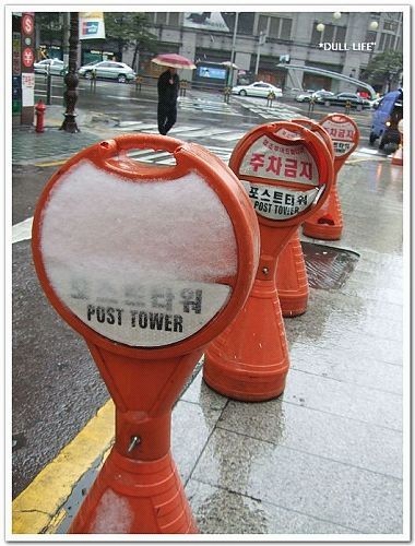 給冰封的路牌 (其實這幾天的天氣都是零上的溫度.. 加上首爾是市區所以在最後一天看到下雪真是萬幸呀
