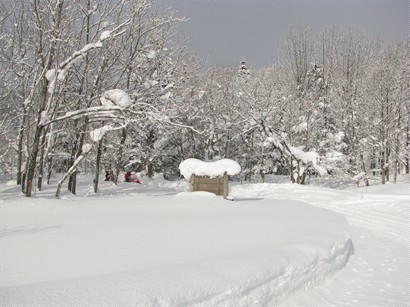 雪上電單車沿途風景.