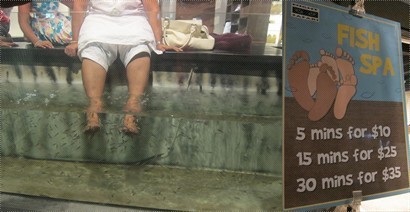 新加坡很流行的Fish Spa，在動物園一樣有得試